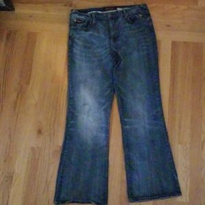 Women's Plus Size Baby Phat Jeans